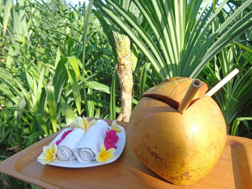 The Pandan Tree Villas Canggu  Exterior photo